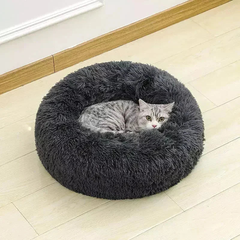 product_45262636286230.webp