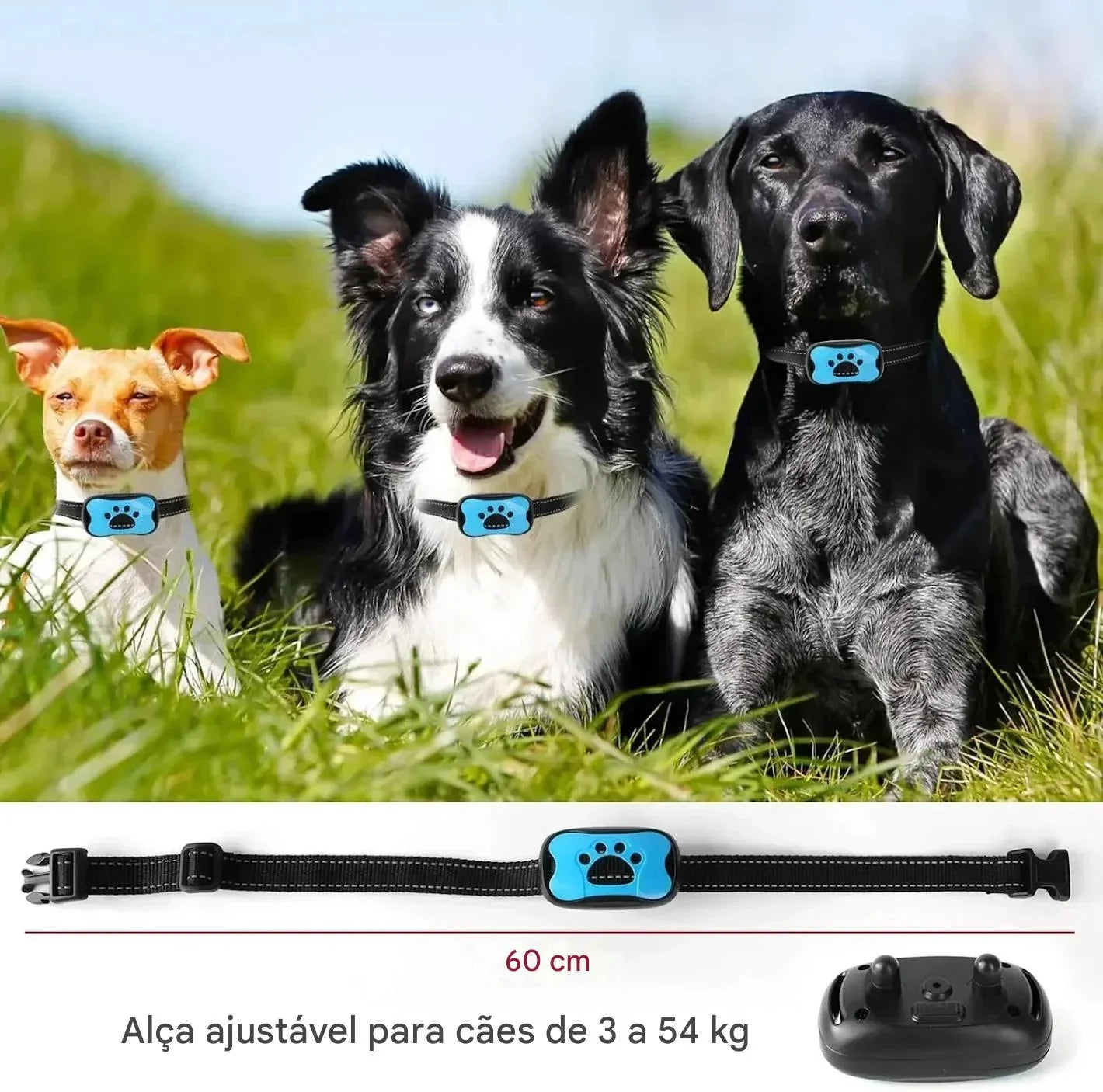 product_45262675312918.webp