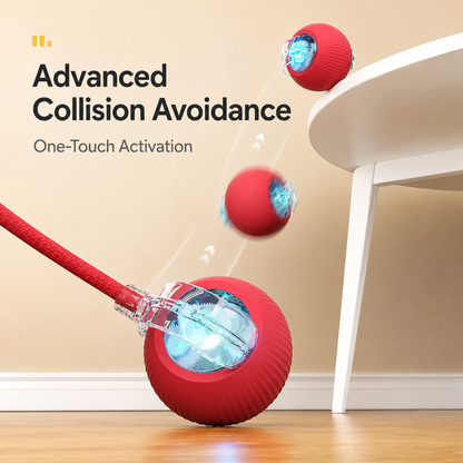 Smart Interactive Ball — 3 Modes Rechargeable for Pets | Wuvpets