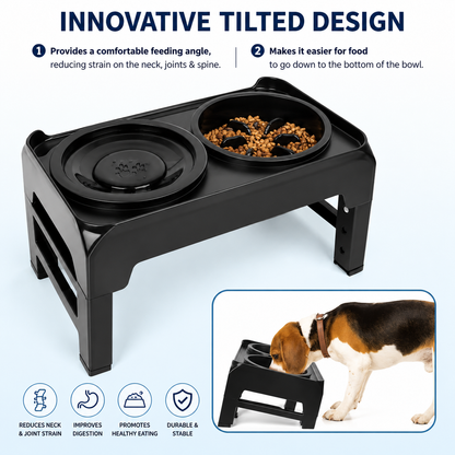 Ergonomic Elevated Dog Bowl Stand | Wuvpets