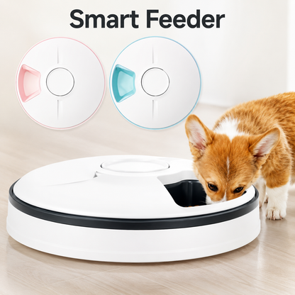 Automatic Pet Feeder with Timer for Dogs & Cats | Wuvpets