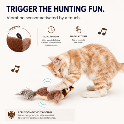 USB Rechargeable Interactive Bird Cat Toy | Wuvpets