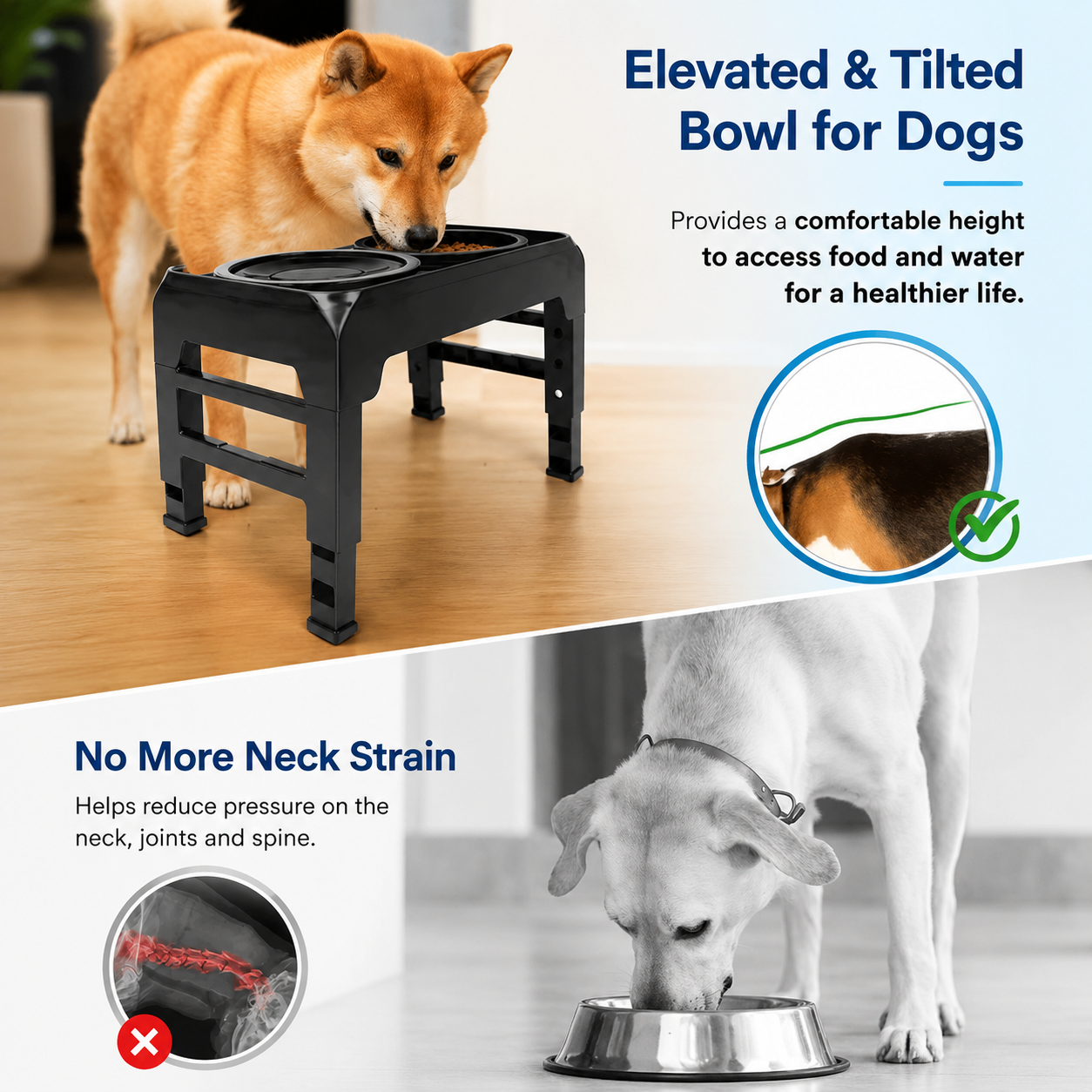 Ergonomic Elevated Dog Bowl Stand | Wuvpets