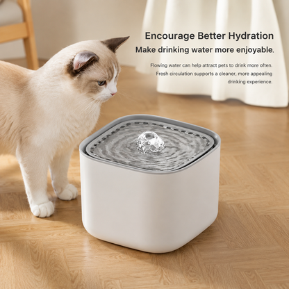Silent Automatic Cat Water Fountain 3L with USB Filter | Wuvpets