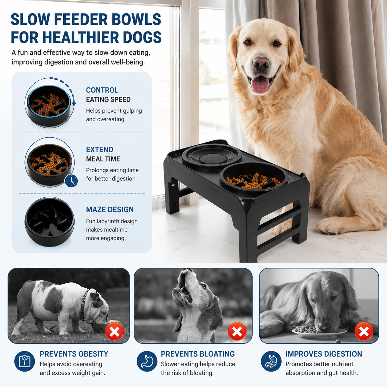 Ergonomic Elevated Dog Bowl Stand | Wuvpets