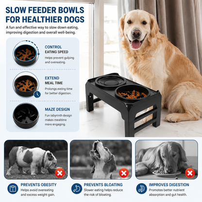 Ergonomic Elevated Dog Bowl Stand | Wuvpets