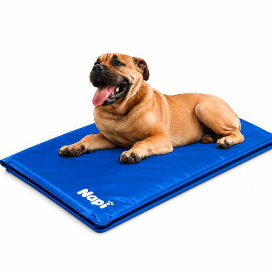 Premium Cooling Pet Mat — Instant Cool | Wuvpets