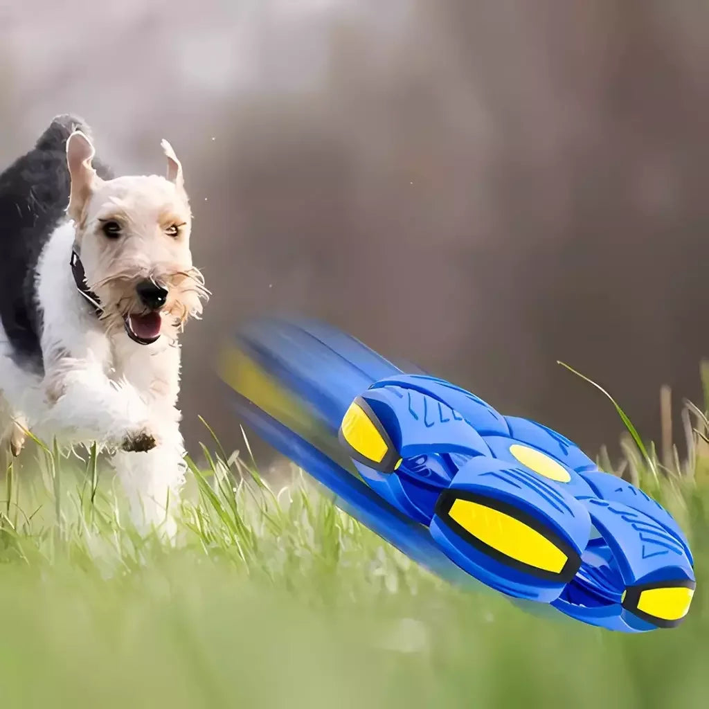 product_45261661634838.webp