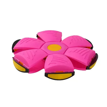 product_45261661798678.webp