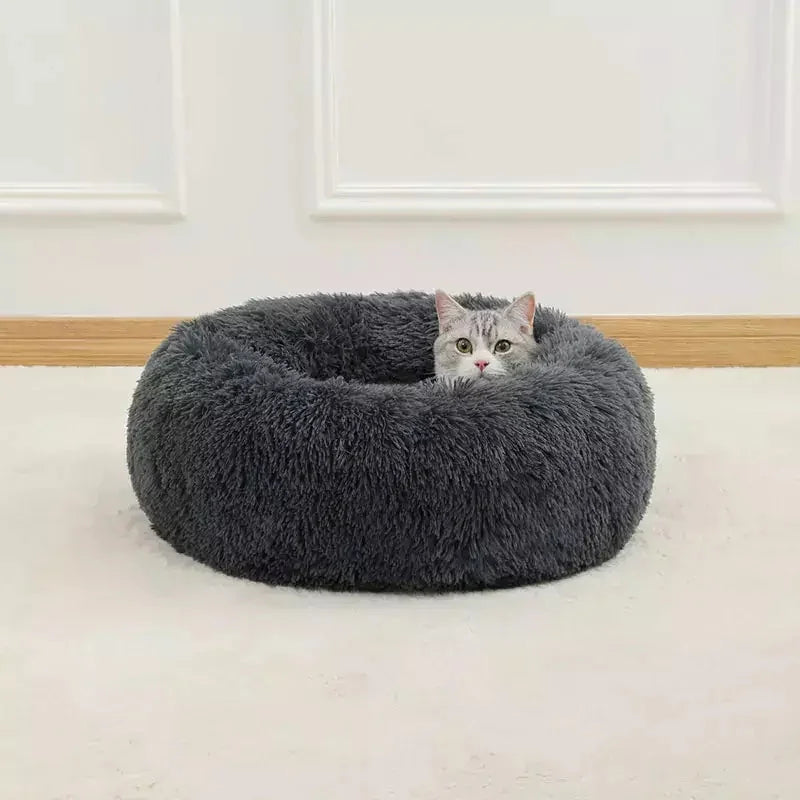 product_45262634975510.webp