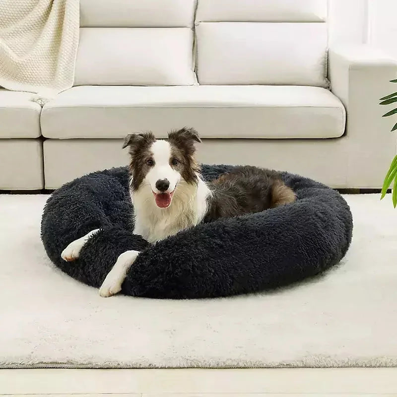 product_45262636253462.webp
