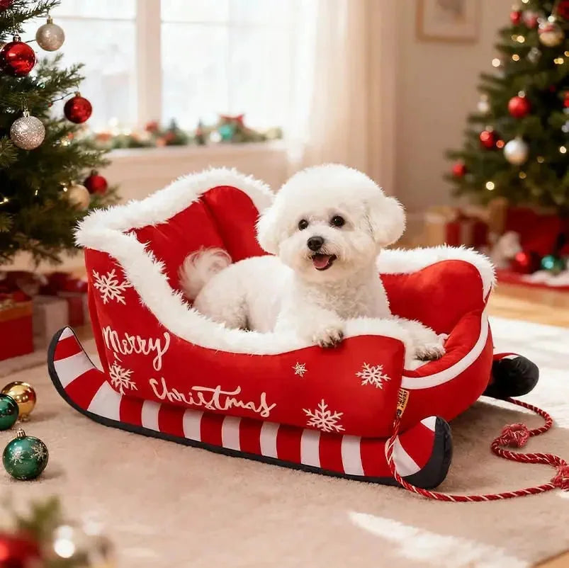 product_45262643822870.webp