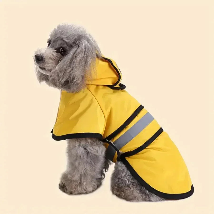 product_45262658765078.webp
