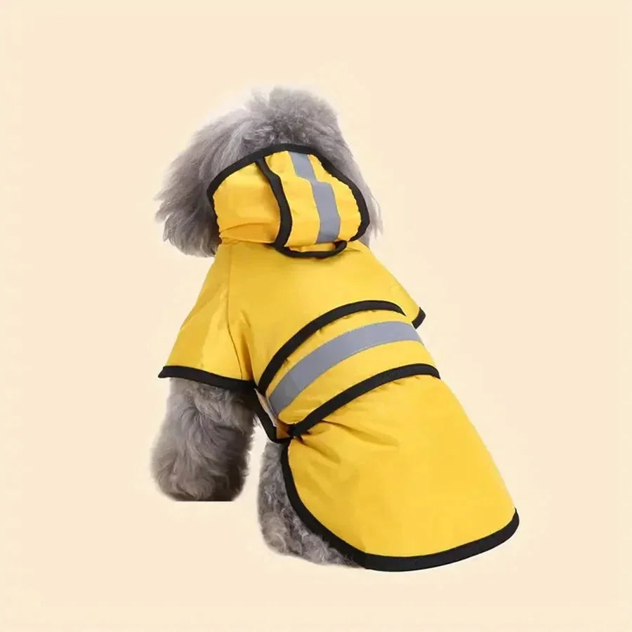product_45262658797846.webp