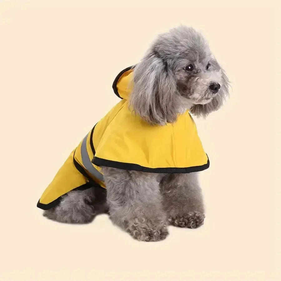 product_45262659059990.webp