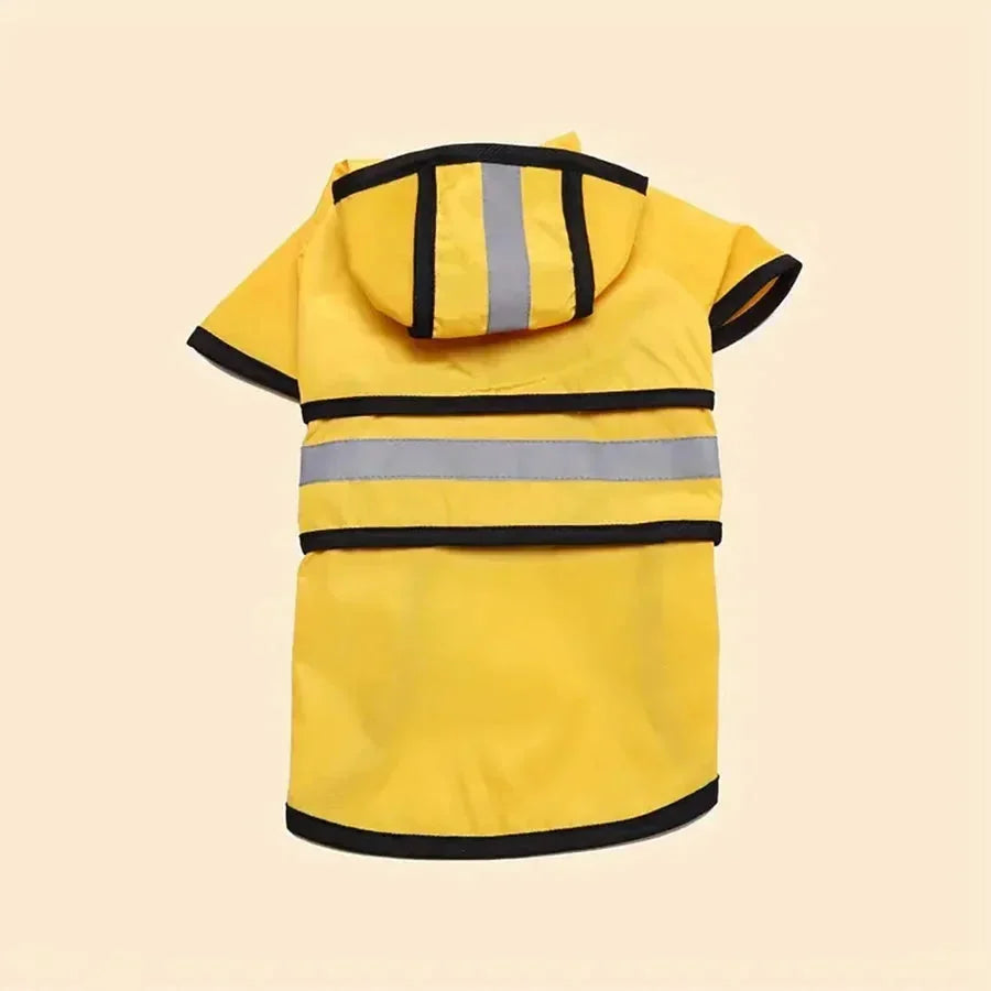 product_45262660174102.webp