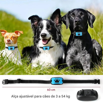 product_45262675312918.webp