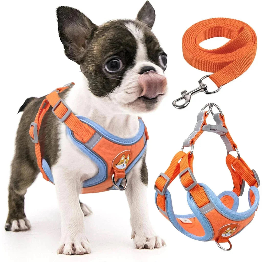 product_45262677147926.webp